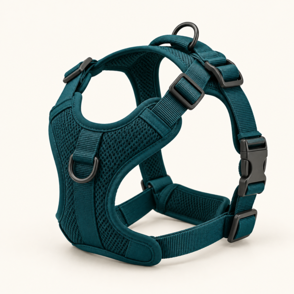 Adjustable Dog Harness